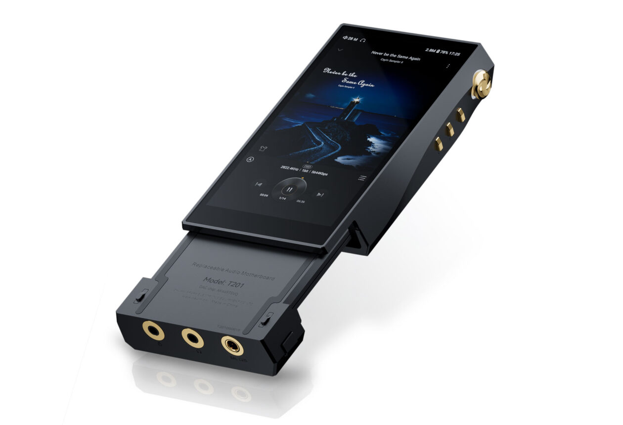 pm-Cayin-N6iii-T201-Modul