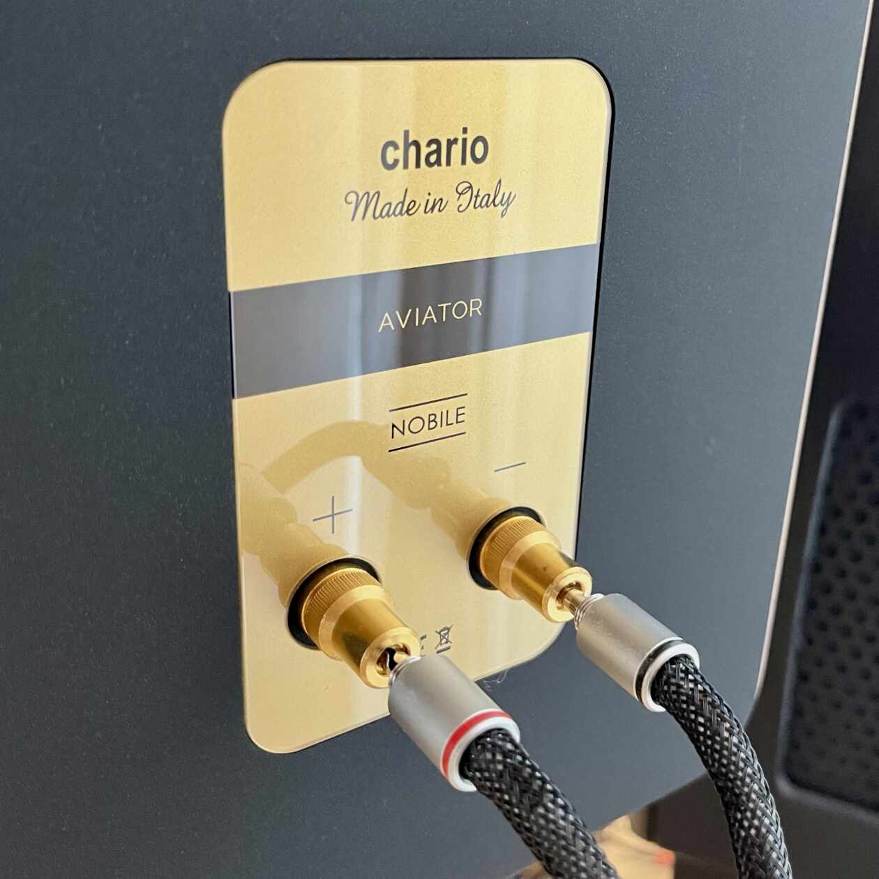 Chario-Aviator-Nobile-Anschluesse-Port